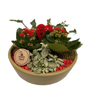 Aranjament Floral cu Kalandive
