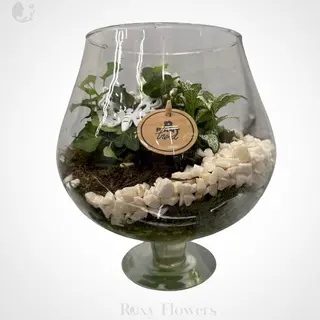 Terariu plante în pahar de sticlă
