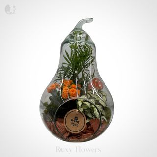 Aranjament terariu pară