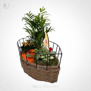 Terariu plante în coș metalic 