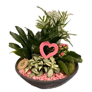 Aranjament floral cu Kalandiva