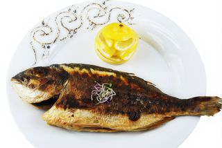 Dorada regala la gratar