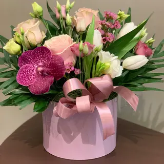 Cutie 58 Medie
