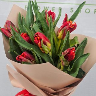 BUCHET 7 LALELE ROSII