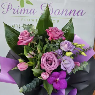BUCHET PURPLE