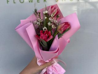 TULIP SPARK
