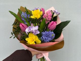 SPRING DELIGHT
