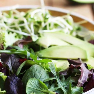 Salata de frunze verzi cu castravete