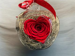 Forever love/Trandafir criogenat inima