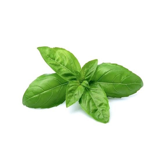 Busuioc