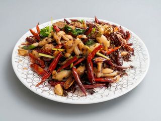 Pui de balta ganbian extrapicant