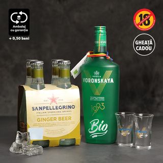 Pack Voronskaya Bio GingerBeer