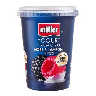 Muller Iaurt cu mure si zmeura 500gr