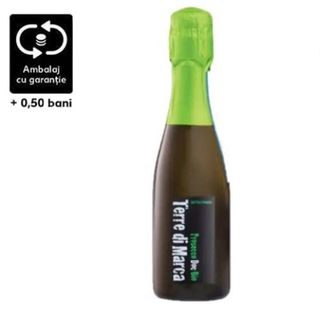Recas Terre di Marca Prosecco 0.2L