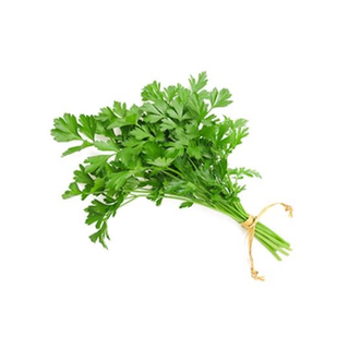 Patrunjel Verde - Legatura