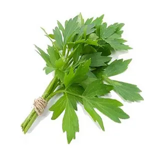Leustean Verde - legatura