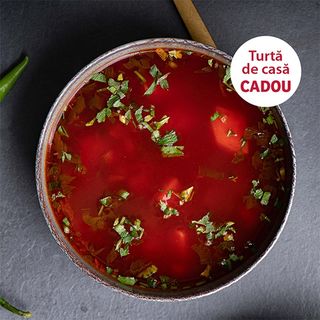 Ciorba de legume (de Post)