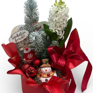 Aranjament de Craciun cu bradut si zambila parfumata