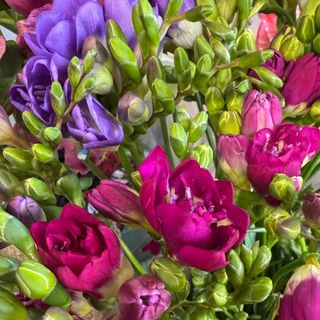 Buchet cu frezii mix (15 fire)