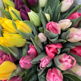 Lalele mix de culori 5 fire