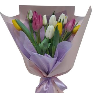 Lalele colorate (15 fire)