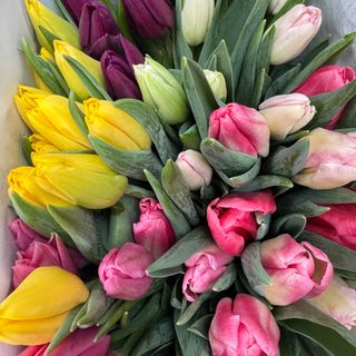 Lalele mix de culori- 15 fire