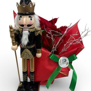 Combo Spargatorul de nuci & Craciunita (ghiveci)