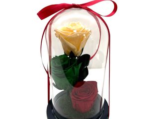 Cupola cu trandafiri crio- trio