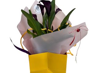 Cale (ghiveci) in punga decorativa