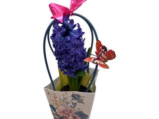 Zambila mov (ghiveci) ib punga decorativa si accesorii