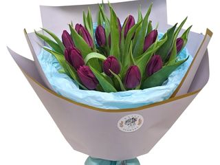 Buchet cu lalele mov(15 fire)