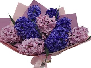 Parfum de zambile ( 9 fire colorate) s