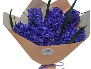 Parfum de zambile ( 7 fire albastru)