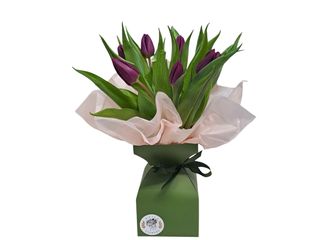 Lalele mov in vas decorativ ( 11 fire)