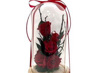 Cupola cu 5 trandafiri criogenati