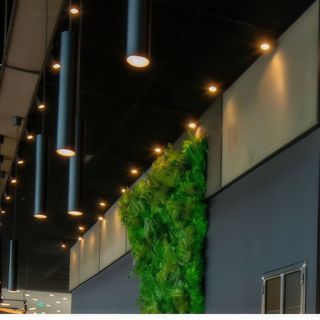 Muschiulet porc panceta, salata de legume la gratar