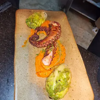 ROBATA OCTOPUS