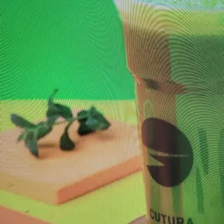 Pina Limo
