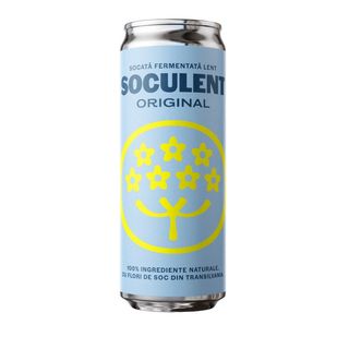 Soculent Socata fermentată lent 330ml