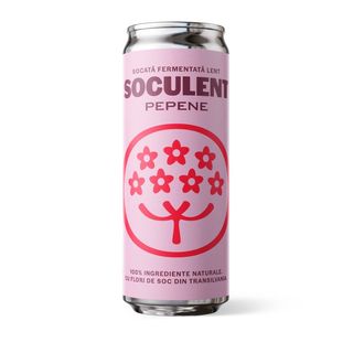 Soculent Socata fermentată lent cu pepene 330ml