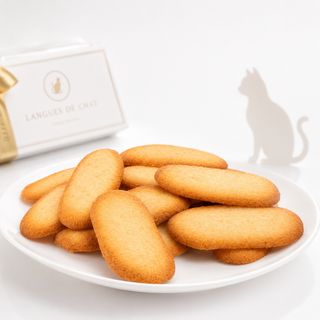 Langues de Chat Casandra – Limbi de Pisică