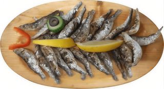 Hamsii, sprot, capelin