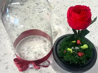 Trandafir Criogenat în Cupolă de Sticlă