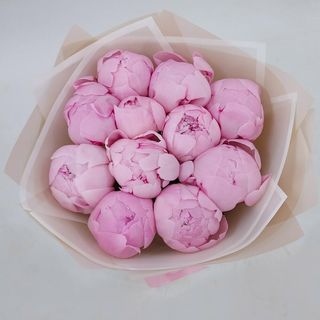 buchet simplu cu 11 bujori roz si ambalaj 