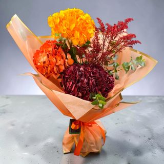 3 hortensii de toamna