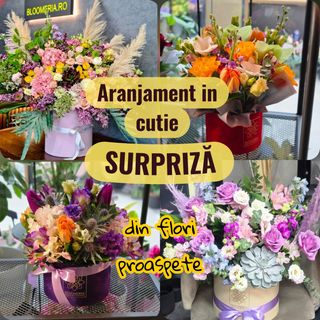 Aranjament floral in cutie SURPRIZA