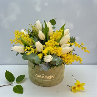 Lalele albe și mimoze