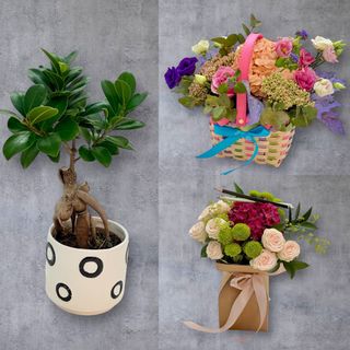 Pachet Flori Școală Bonsai-Cos-Buchet