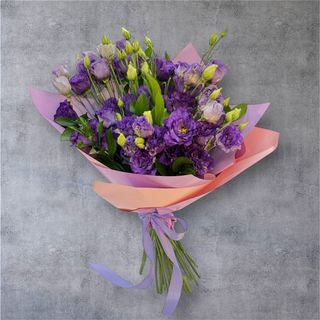 Lisianthus mov de Vara