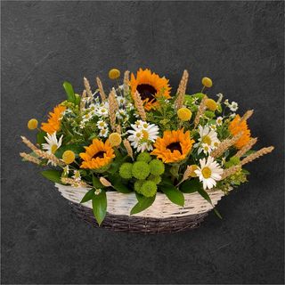 Floarea Soarelui si Spice în cos ratan